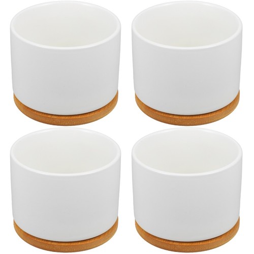 Set vasi succulente in - set,