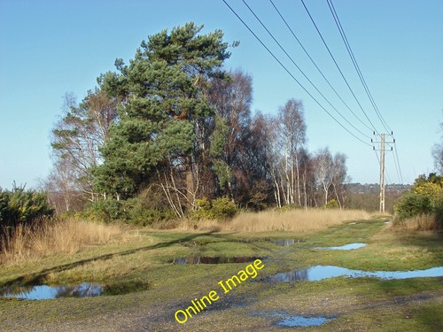 Photo 6x4 path - photo,
